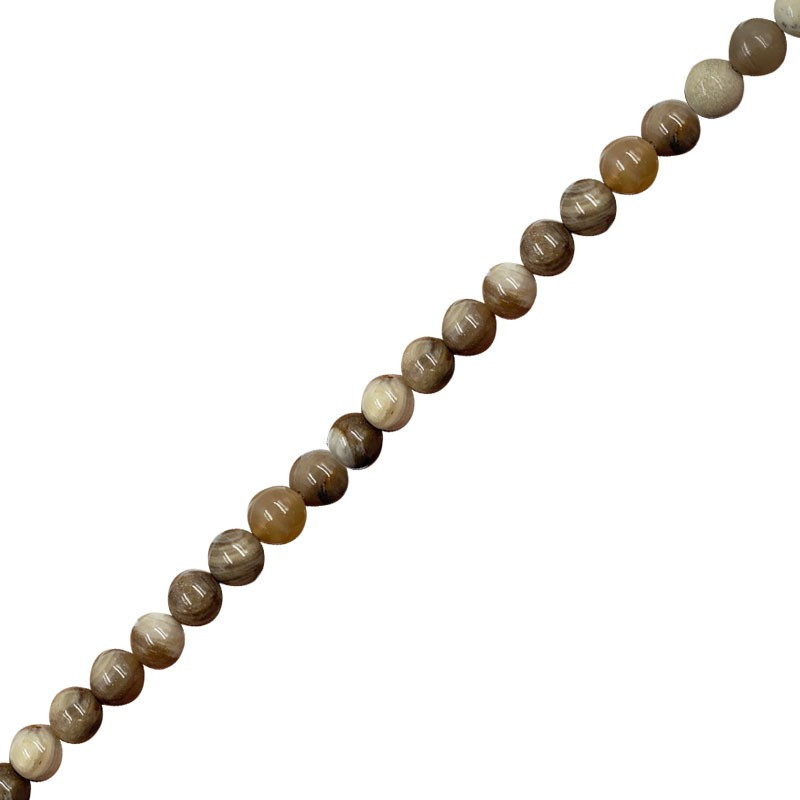 Bracelet Bois fossile 8 mm